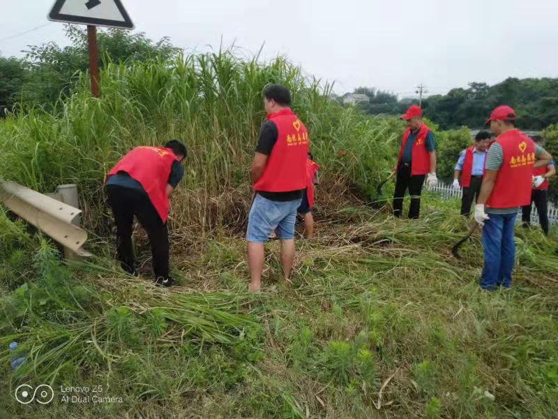 志愿者正在辖区内重点区域、险情位置、堤段砍除杂草。
