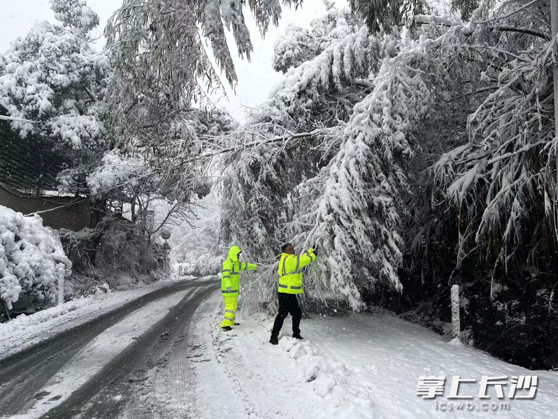 洞阳镇组织人员清理路面积雪和路边断树残枝。均为受访者供图