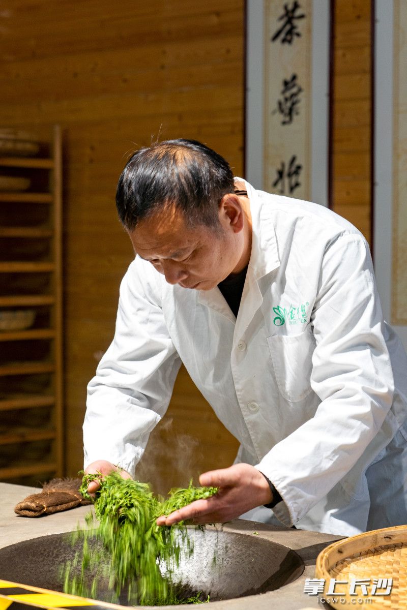 园区内的师傅正在展示金井茶传统制茶工艺。