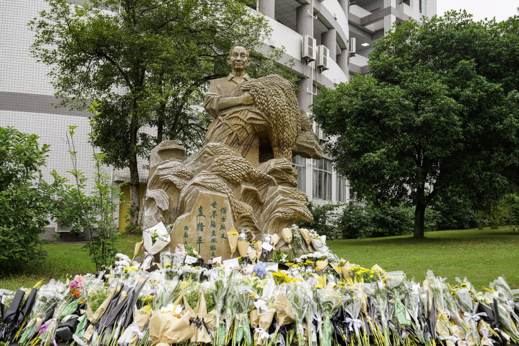 Flowers are seen in front of a statue of Yuan Longping in Southwest University in southwest China's Chongqing, May 22, 2021. (Photo by Qin Tingfu/Xinhua)