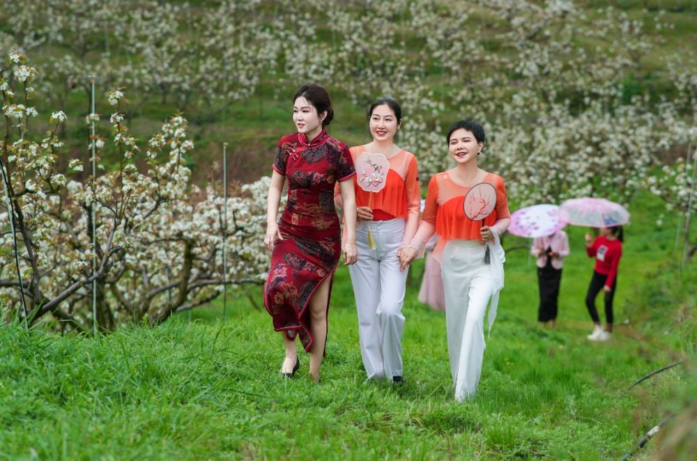 在涟源市古塘乡牛山园，游客正在踏青、观赏梨花。（吴世梁 摄）